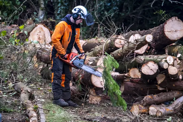 Portnoo Cpunty Donegal Ireland October 2022 Workers Felling Shredding Trees — Stock Photo, Image