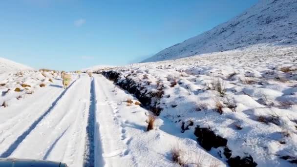 Driving Snow Covered Glenveagh National Park Shadow Mountain County Donegal — Video