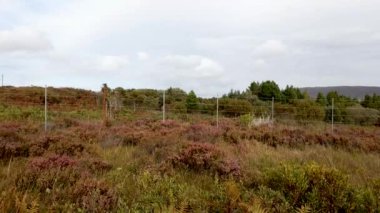İrlanda 'nın Donegal ilçesindeki Glenveagh Ulusal Parkı' ndaki geyik çiti..