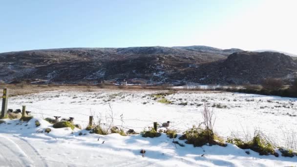 Сніговий Покрив Бухту Ґвібарра Між Духарі Леттермаскаром Донегалі Ірландія — стокове відео