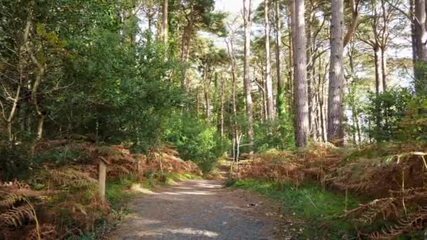 Εθνικό Πάρκο Glenveagh Στην Κομητεία Donegal Ιρλανδία — Αρχείο Βίντεο