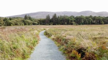 County Donegal 'deki Glenveagh Ulusal Parkı - İrlanda.