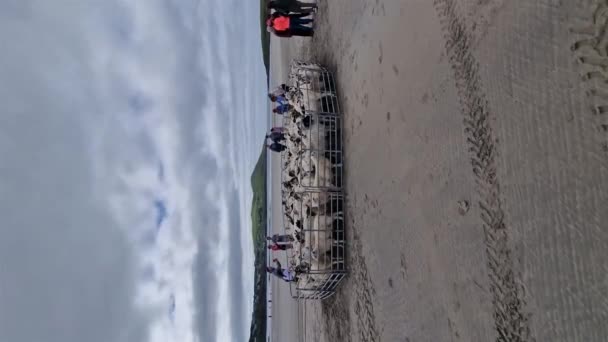 パトノー カウントリー ドネガル Ireland セプター23 2023 ナリン ストランドに集まる羊 — ストック動画