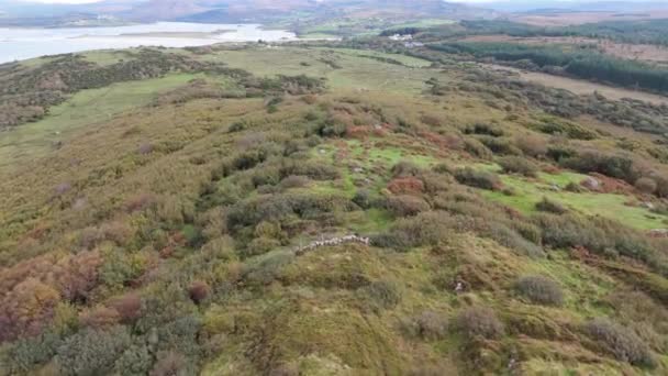 Vista Aérea Cashelgolan Castlegoland County Donegal Irlanda — Vídeo de Stock