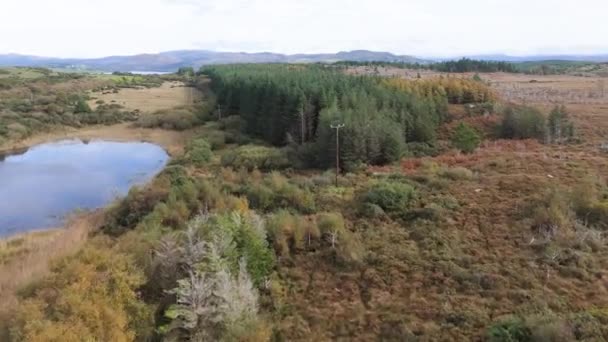 Donegal Rlanda Bulunan Portnoo Nun Bonny Glen Yakınlarındaki Orman Manzarası — Stok video