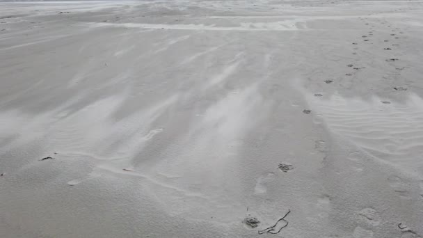 Sandsturm Strand Von Dooey Bei Lettermacaward Der Grafschaft Donegal Irland — Stockvideo