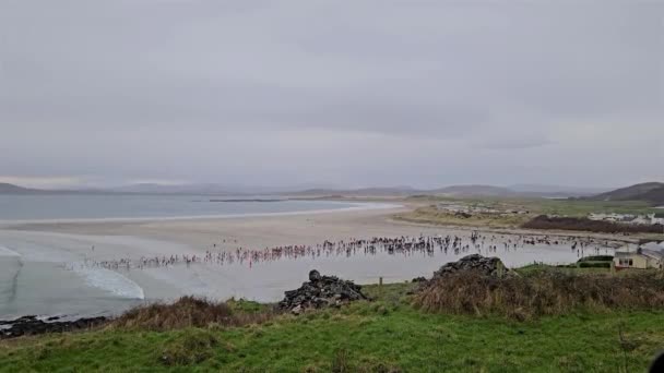 Portnoo Cpunty Donegal Irlandia Styczeń 2024 Nowy Rok Pływania Odbył — Wideo stockowe
