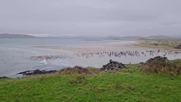 Portnoo Cpunty Donegal Irsko January 2024 Novoroční Plavání Uskutečnilo Přesně — Stock video