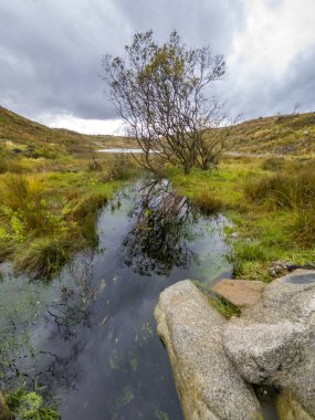 Donegal, İrlanda 'daki Bonny Glen' deki güzel dere manzarası