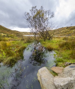 Donegal, İrlanda 'daki Bonny Glen' deki güzel dere manzarası