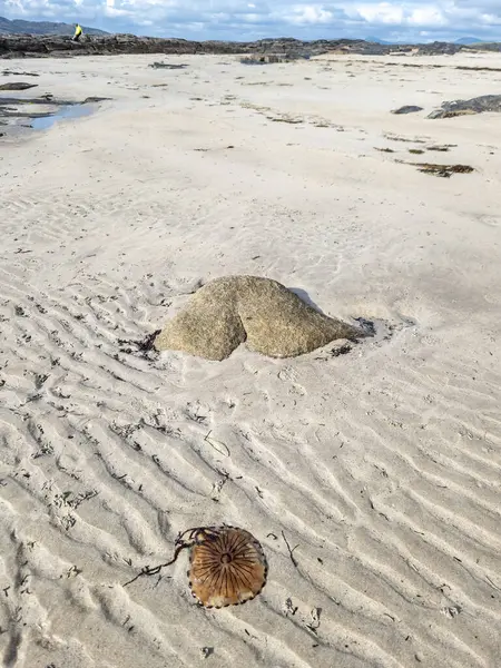 Famosa Piedra Forma Espalda Una Medusa Brújula Narin Strand Por — Foto de Stock