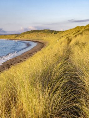 İrlanda 'nın Donegal ilçesinde Marram Gras.