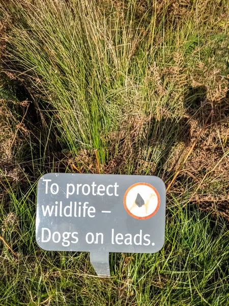 请让你的狗知道保护野生动物的线索 — 图库照片