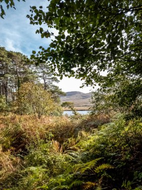Lough Veagh, Glenveagh Ulusal Parkı - Donegal, İrlanda.