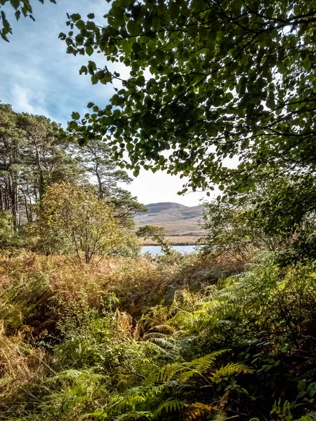 Lough Veagh Glenveagh National Park Donegal Ireland — Stock Photo, Image