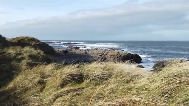 Потужні Хвилі Врізаються Скелі Carrickfad Порт Спейн Графство Донегал Ірландія — стокове відео