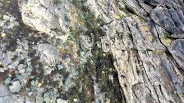 Donegal, İrlanda 'da bulunan Portnoo ve Inishkeel Adası tarafından ödüllendirilen Narin Sahili' nin hava görüntüsü..