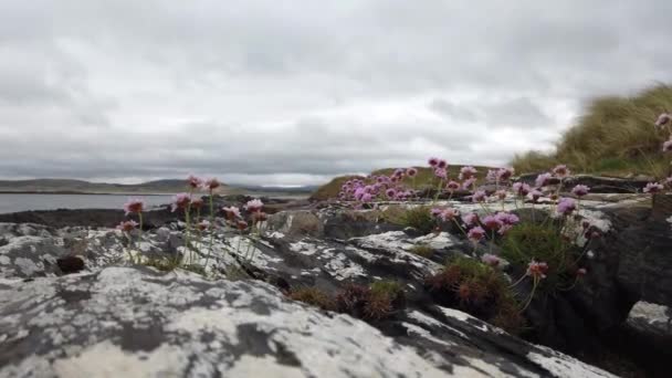 Carrickfad Kayaları Portnoo Nun Narin Caddesi Donegal Rlanda — Stok video