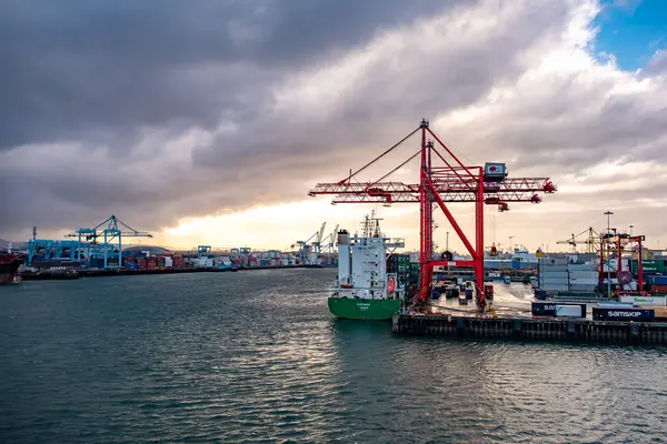Dublin Irland Mars 2019 Containerkranar Som Arbetar Dublins Hamn — Stockfoto