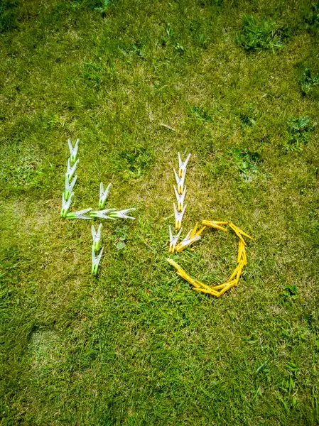 46番 芝生に横たわる服のペグから作られた — ストック写真