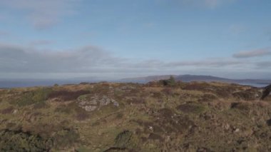 Kızıl Geyik Castlegoland 'da Portnoo, County Donegal, İrlanda.