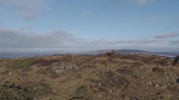 Red Deer Sur Castlegoland Par Portnoo Comté Donegal Irlande — Video