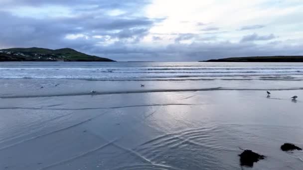 Aerials Портвей Нарин Пляж Графстві Донегал Ірландія — стокове відео