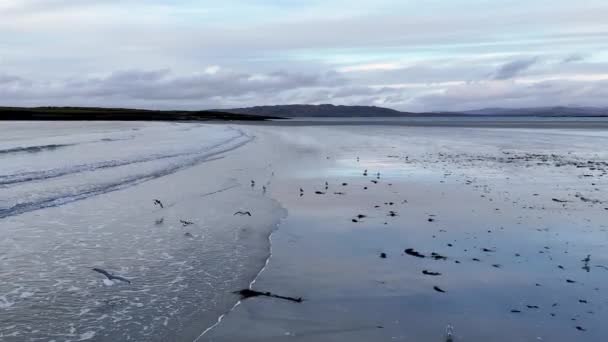 Пляж Портну Нарин Графстве Донегал Ирландия — стоковое видео