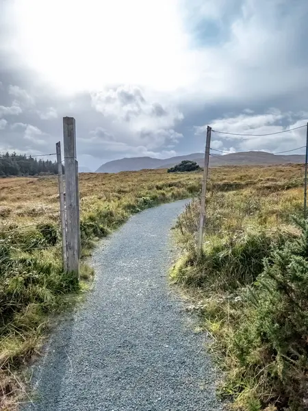 Rlanda Nın Donegal Ilçesindeki Glenveagh Ulusal Parkı Ndaki Geyik Çiti — Stok fotoğraf
