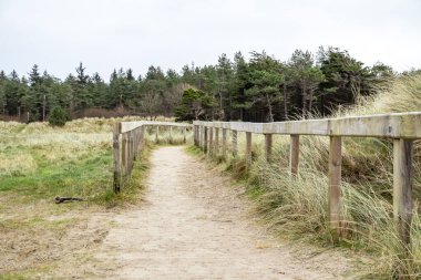 İrlanda 'nın Donegal ilçesinde Murvagh manzarası.