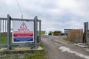 BALLYSHANNON, İKİNCİ DONEGAL, IRELAND - 21 HAZİRAN 2022:.