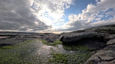 Donegal, İrlanda 'da Portnoo sahilinde bulunan renkli deniz yosunu..