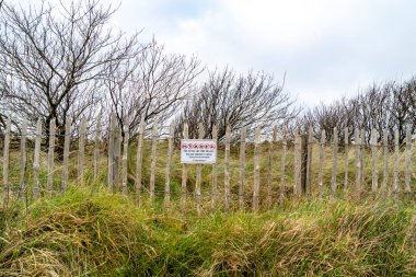 Kum tepeciklerinin çok kırılgan olduğunu açıklayan bir tabela. 21 Ocak 2022.