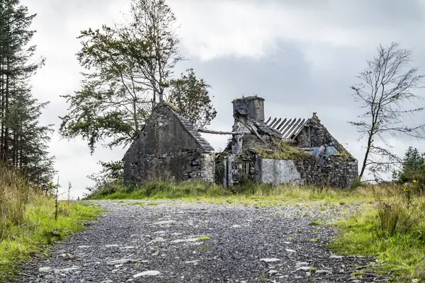 Glenties, County Donegal, İrlanda 'daki Letterilly ormanındaki kimsesiz ev..