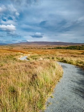 Glenveagh Ulusal Parkı, Donegal Cumhuriyeti, İrlanda.