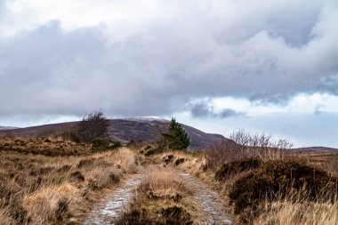 Kışın Derryveagh Dağları, Donegal İlçesi, İrlanda.