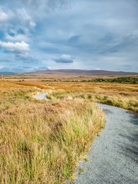 Glenveagh Ulusal Parkı, Donegal Cumhuriyeti, İrlanda.