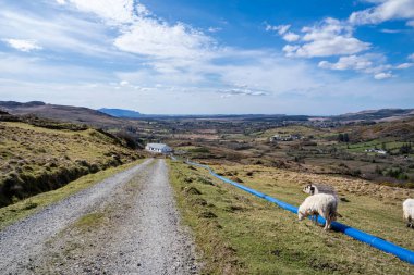 The blue water supply pipe coming from of Lough Anna, the drinking water supply for Glenties and Ardara - County Donegal, Ireland. clipart