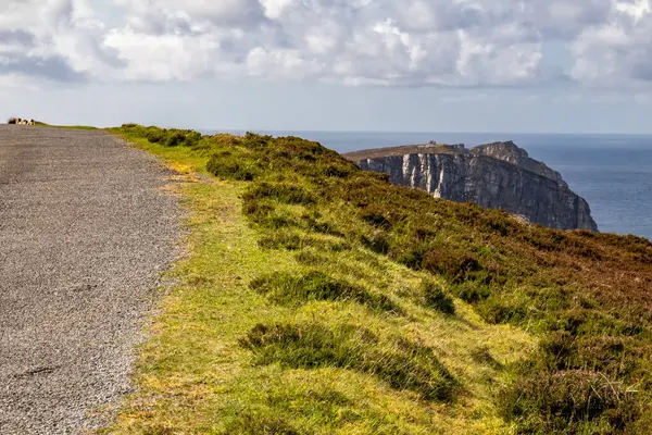 İrlanda 'nın Donegal ilçesindeki Horn Head uçurumlarına bakın..