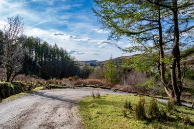 Meenahalla, Glenties, İrlanda Cumhuriyeti 'nde keskin viraj uyarısı.