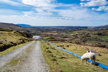 Lough Anna 'dan gelen mavi su borusu Glenties ve Ardara' nın içme suyu kaynağı..