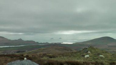 Kerry, İrlanda 'daki Skellig adalarının kıyı manzarası.