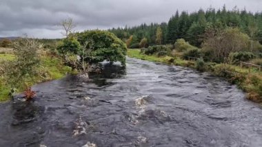 Ardara 'nın kıyısındaki Owenea Nehri, Donegal - İrlanda.