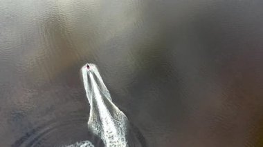 Jetski, Gweebarra körfezinde Portnoo ve Lettermacaward arasında araba sürüyor..