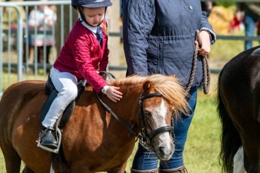 MEENACES, COUNTY DONEGAL, IRELAND - AĞUSTOS 04 2025: Her yaştan sürücü Meencross Tarım Fuarı 'ndan keyif alıyor.