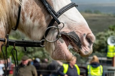 At suratını ve koşumunu kapat..