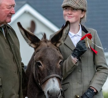 MEENACES, COUNTY DONEGAL, IRELAND - AĞUSTOS 04 2025: Mary Ann Elliott Meencross Tarım Fuarı 'ndaki eşeği ile birincilik ödülünü kazanıyor.