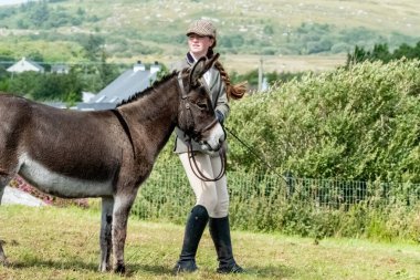 MEENACES, COUNTY DONEGAL, IRELAND - AĞUSTOS 04 2025: Mary Ann Elliott Meencross Tarım Fuarı 'ndaki eşeği ile birincilik ödülünü kazanıyor.