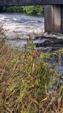 Ardara 'nın kıyısındaki Owenea Nehri, Donegal - İrlanda.