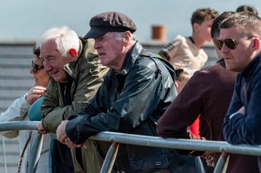 MEENACİS, İKİNCİ DONEGAL, İRELAND - 4 AĞUSTOS 2025: İnek bölümü Meencross Tarım Fuarı sırasında eğleniyor.